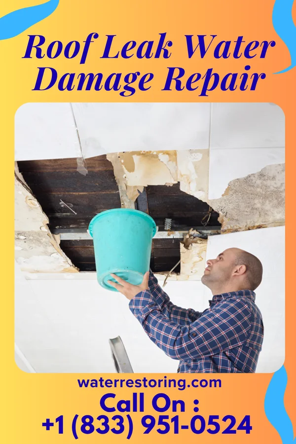 Roof Leak Water Damage Repair in Kennedy, CA
